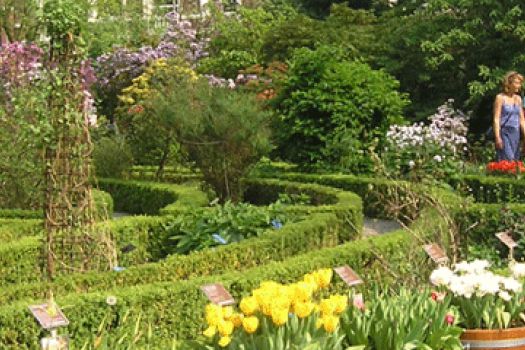 De Hortus Botanical Gardens, Amsterdam