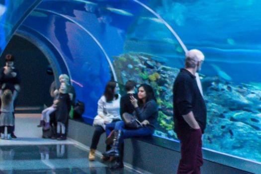 Blue Planet Aqaurium, Copenhagen