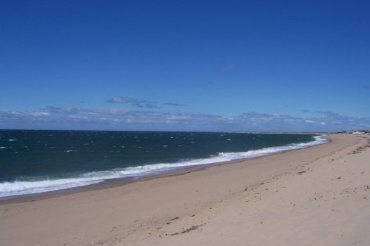 Gay Beaches, North America
